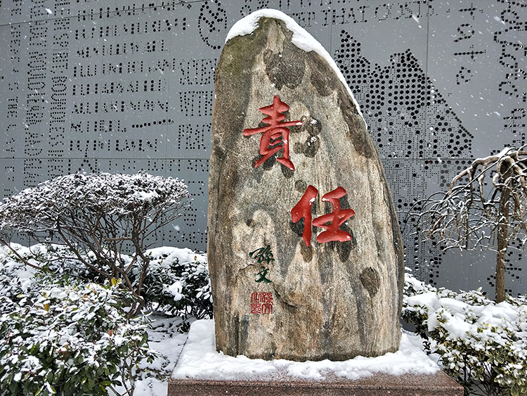 图片 19.png